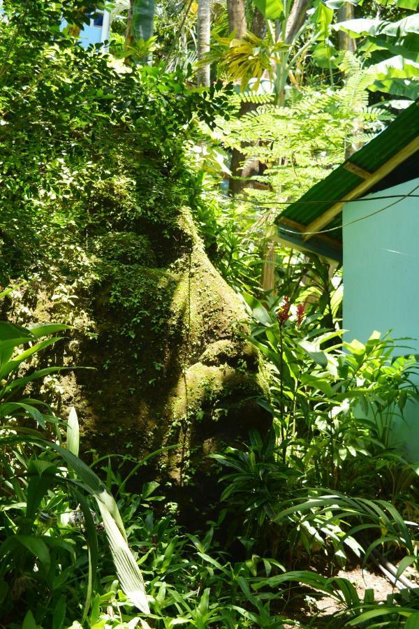 Hotel Luna Llena Nicoya Esterno foto